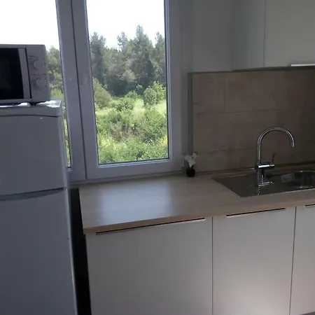 Nela Apartment Banjole